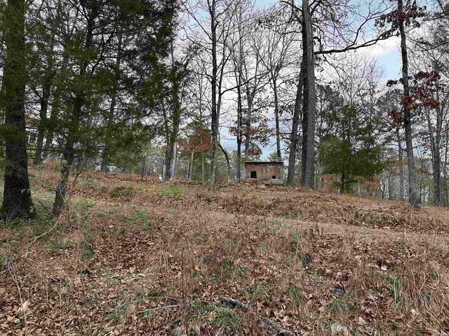 600 Timberlake Drive, Royal, AR 71968
