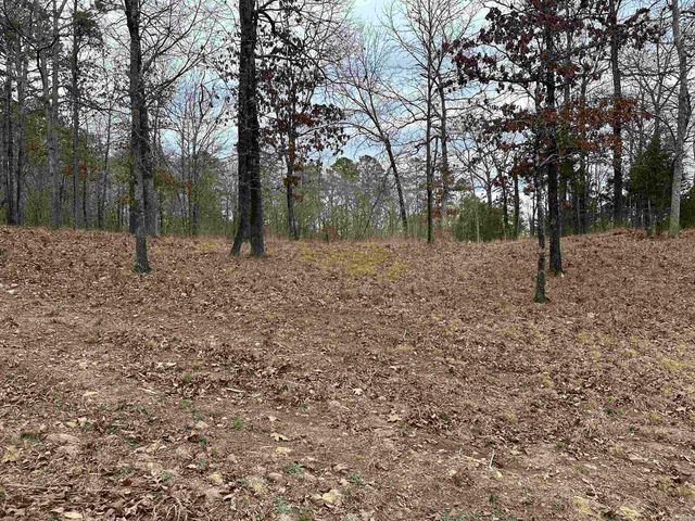 600 Timberlake Drive, Royal, AR 71968