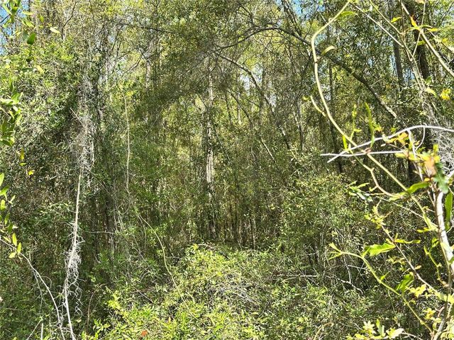 tbd HARDEE STREET, Bronson, FL 32621