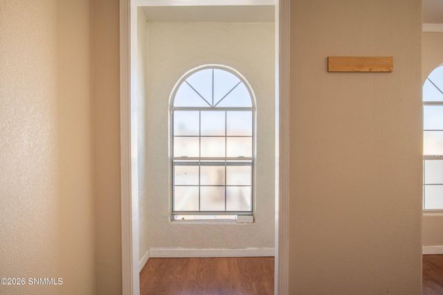 3858 Van Ess Court, Las Cruces, NM 88012