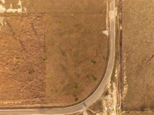 TBD Camp Edgewood Road, Dequincy, LA 70633