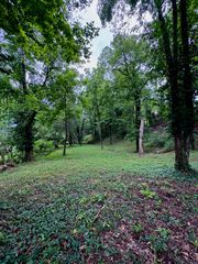 6733 Moss Lake Drive, Hixson, TN 37343
