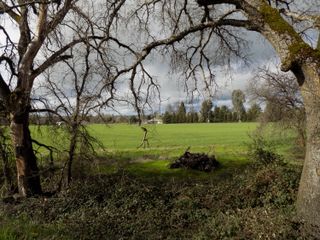 7480 Riverland Dr. Drive, Redding, CA 96002