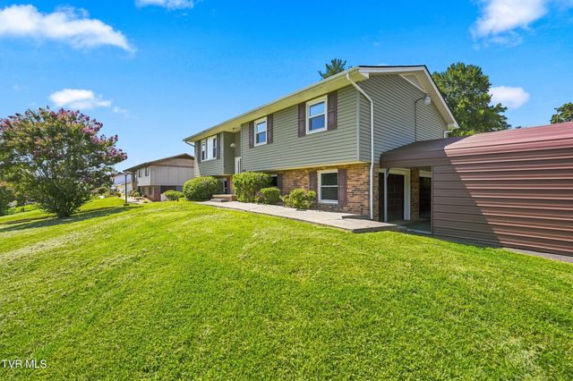 470 Old Hickory Circle, Mount Carmel, TN 37645