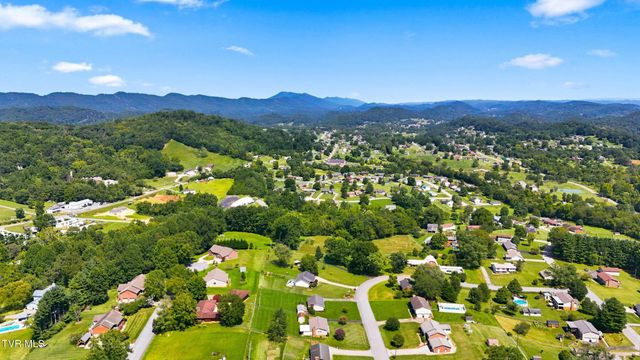 470 Old Hickory Circle, Mount Carmel, TN 37645