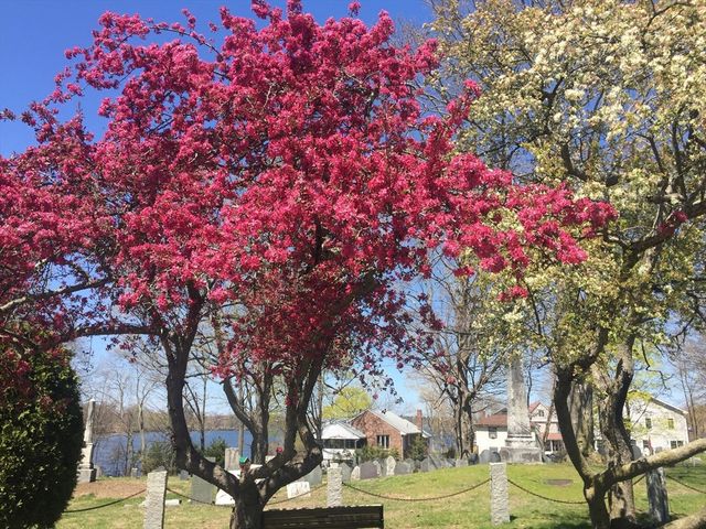 18 Gould St. 2, Wakefield, MA 01880