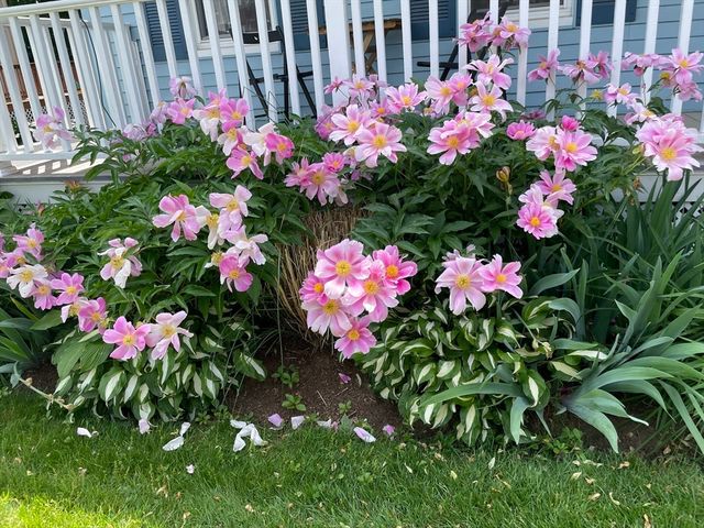 18 Gould St. 2, Wakefield, MA 01880