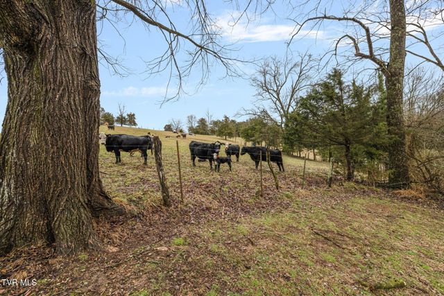 206 Highland Road, Jonesborough, TN 37659