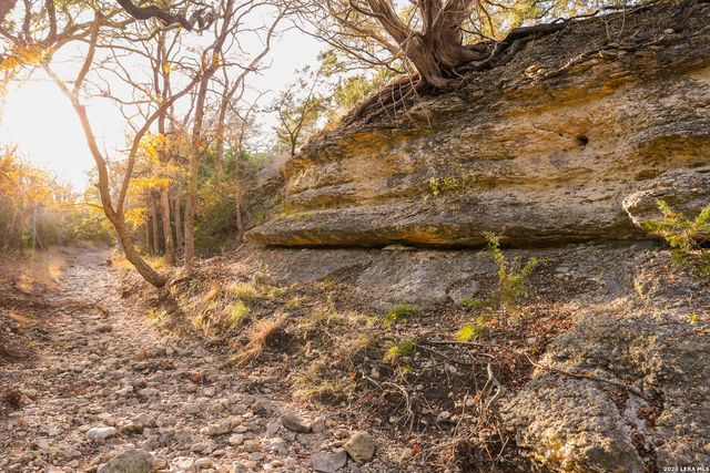 242 Model T, Blanco, TX 78606