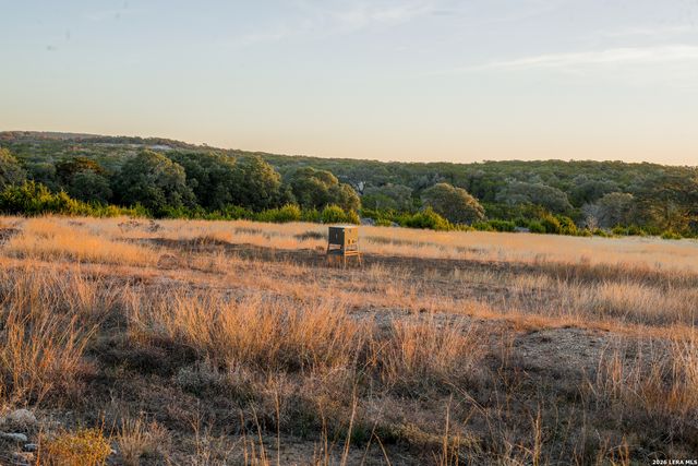 242 Model T, Blanco, TX 78606