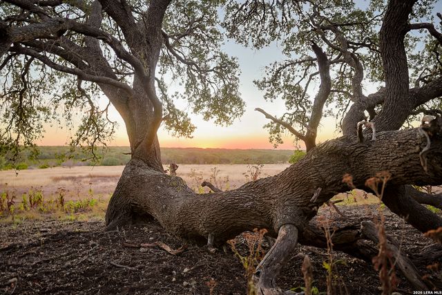 242 Model T, Blanco, TX 78606
