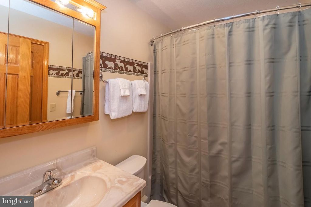 333 SLOAN TRACT RD, Oakland, MD 21550
