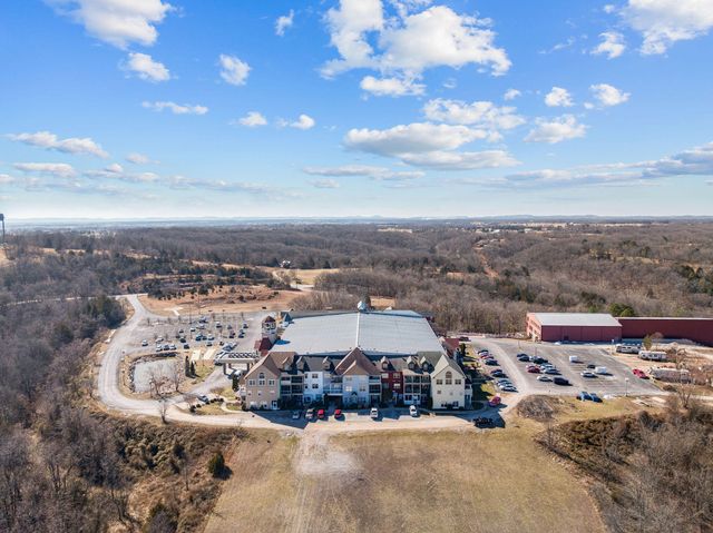 180 Grace Chapel Rd 338, Blue Eye, MO 65611