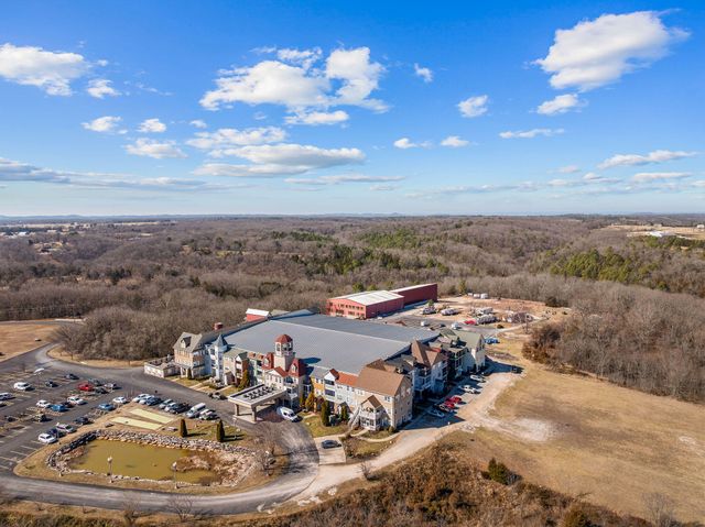 180 Grace Chapel Rd 338, Blue Eye, MO 65611