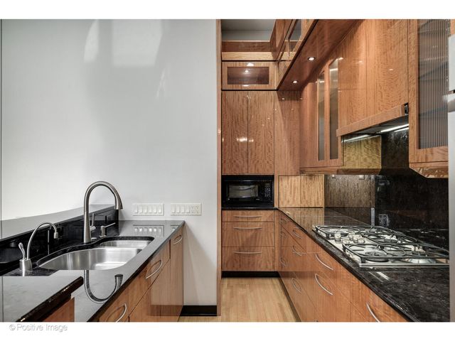 65 W Schiller Street, Chicago, IL 60610