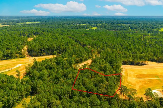26425 Old Head Trail, Montgomery, TX 77316