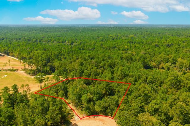 26425 Old Head Trail, Montgomery, TX 77316