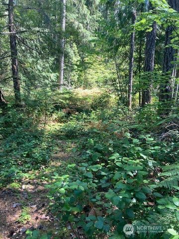 21 N Goldeneye Drive, Hoodsport, WA 98548