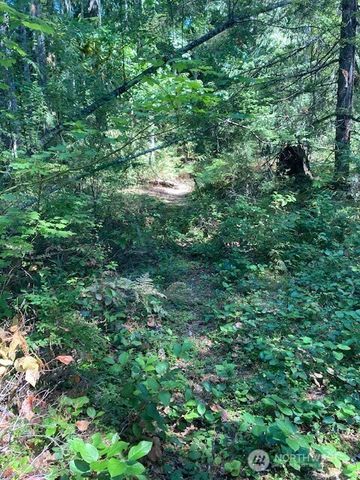 21 N Goldeneye Drive, Hoodsport, WA 98548