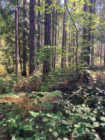 21 N Goldeneye Drive, Hoodsport, WA 98548