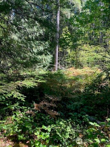 21 N Goldeneye Drive, Hoodsport, WA 98548