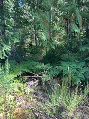 21 N Goldeneye Drive, Hoodsport, WA 98548