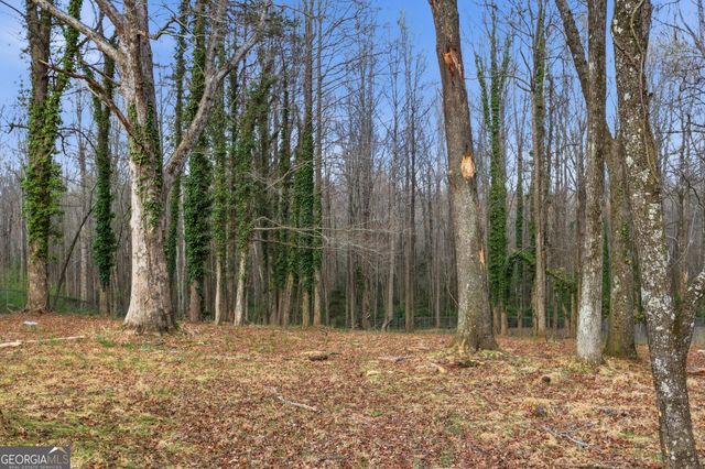 241 Tommy Irvin Road, Mount Airy, GA 30563