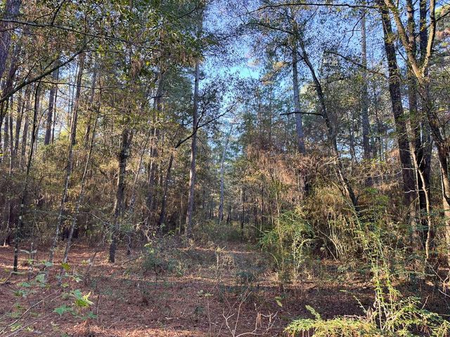 156 Lessa Lane, Huntsville, TX 77340