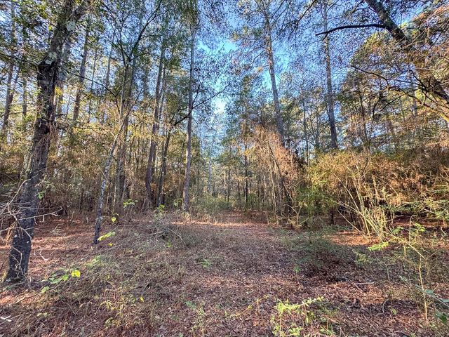 156 Lessa Lane, Huntsville, TX 77340