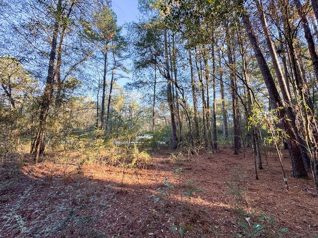 156 Lessa Lane, Huntsville, TX 77340