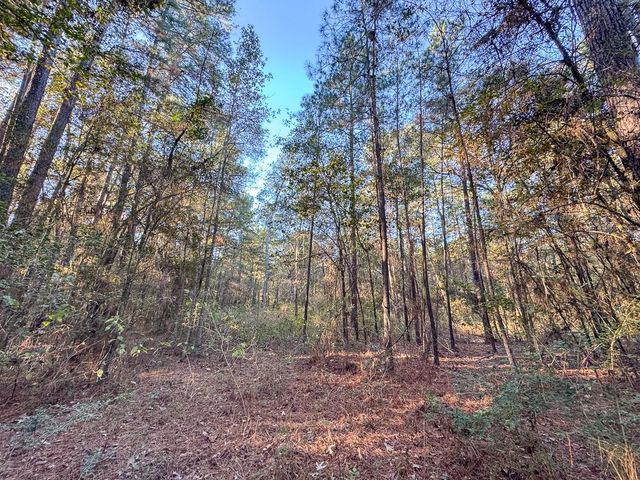 156 Lessa Lane, Huntsville, TX 77340