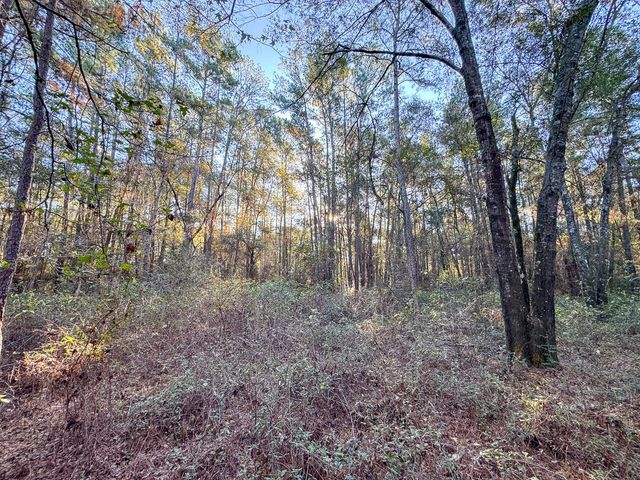 156 Lessa Lane, Huntsville, TX 77340