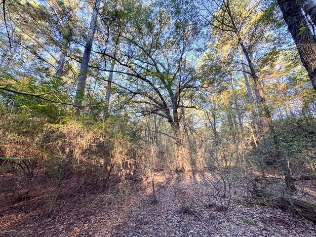 156 Lessa Lane, Huntsville, TX 77340