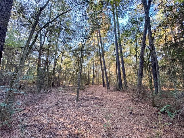 156 Lessa Lane, Huntsville, TX 77340