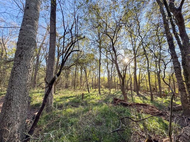 156 Lessa Lane, Huntsville, TX 77340