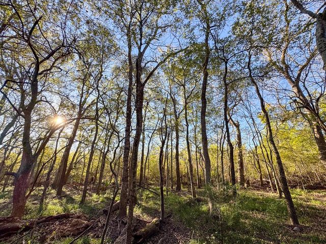 156 Lessa Lane, Huntsville, TX 77340