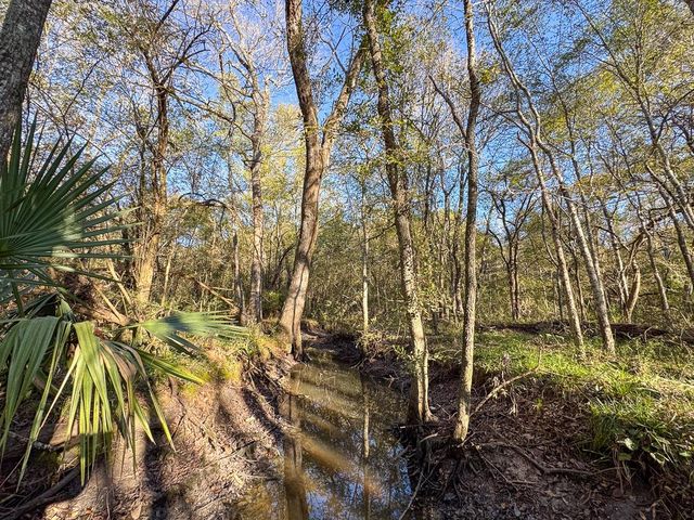 156 Lessa Lane, Huntsville, TX 77340