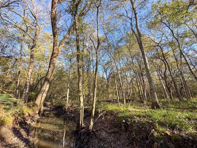 156 Lessa Lane, Huntsville, TX 77340