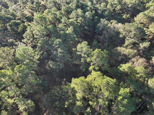 156 Lessa Lane, Huntsville, TX 77340