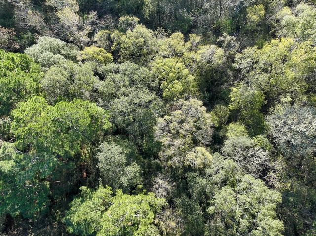 156 Lessa Lane, Huntsville, TX 77340