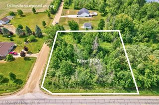 VL 0330 Birch Run Rd At Genesee Road, Millington, MI 48746