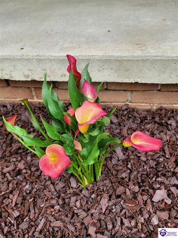 215 Carey Lane, Elizabethtown, KY 42701