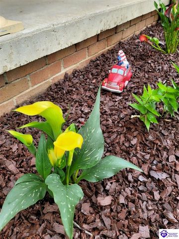 215 Carey Lane, Elizabethtown, KY 42701