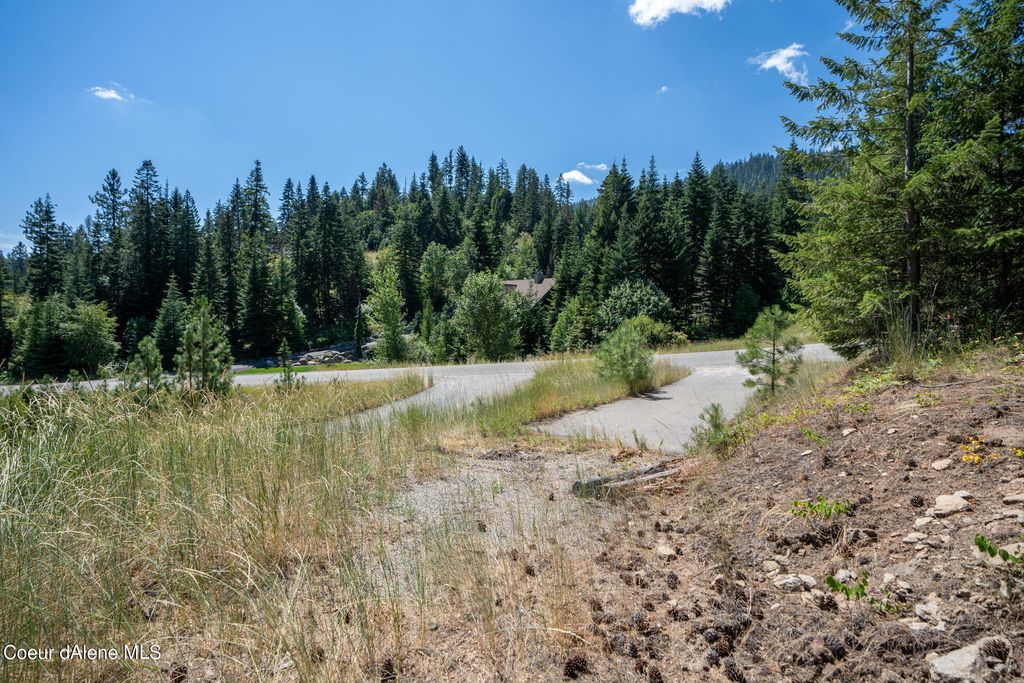 10795 W BELLA RIDGE DR, Coeur d'Alene, ID 83814 photo 2
