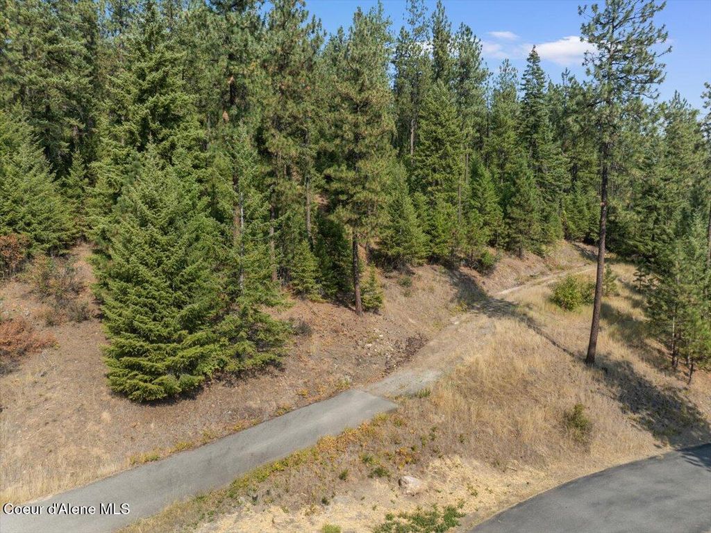 10795 W BELLA RIDGE DR, Coeur d'Alene, ID 83814 photo 4