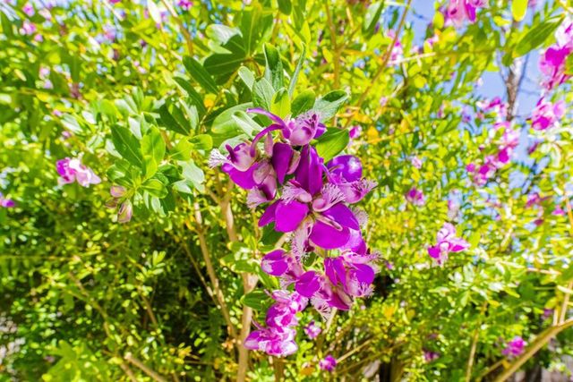 25215 Azalea Court, Salinas, CA 93908