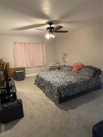 4205 Canal Drive, Hazelwood, MO 63034