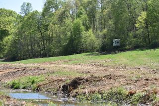0 Buckner Ridge Road, Bon Aqua, TN 37025
