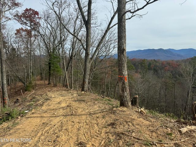 Lot 2 Vista Drive, Gatlinburg, TN 37738