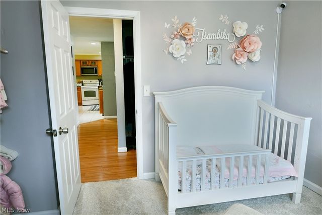 203 Aldrich Road, Austintown, OH 44515